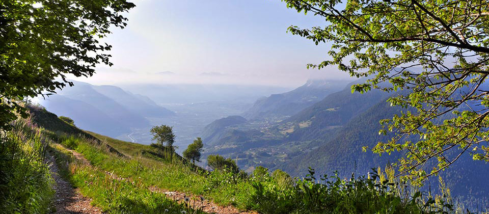Panorama di versanti di montagna dell'Alto Adige ricchi di vegetazione