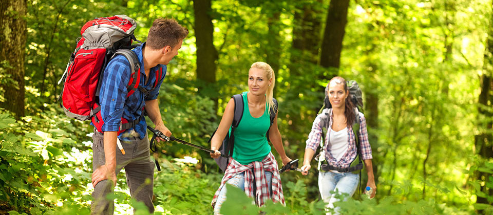 Eine Gruppe von jungen Leuten wandern in Südtirols Wäldern