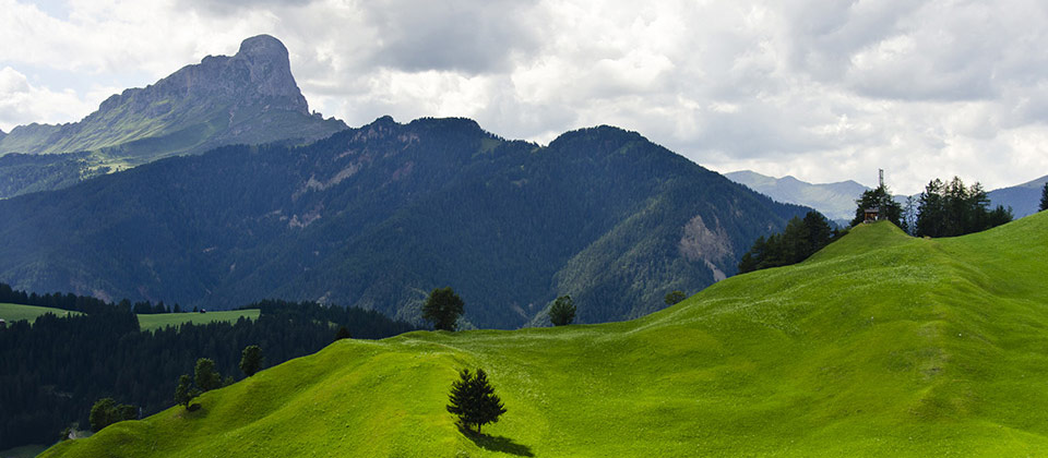 Immensa distesa verde a Plan de Corones al Sass de Putia